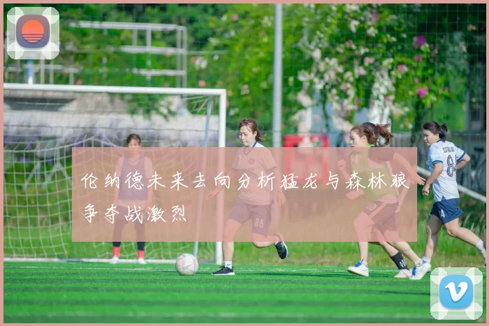 伦纳德未来去向分析猛龙与森林狼争夺战激烈